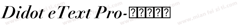 Didot eText Pro字体转换